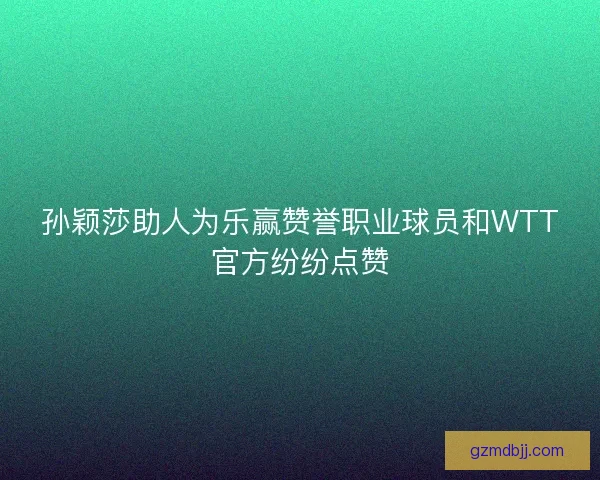 孙颖莎助人为乐赢赞誉职业球员和WTT官方纷纷点赞